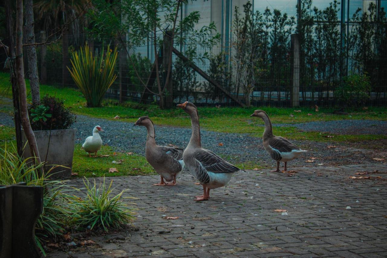 Vila Gramado Motorpark Exteriér fotografie